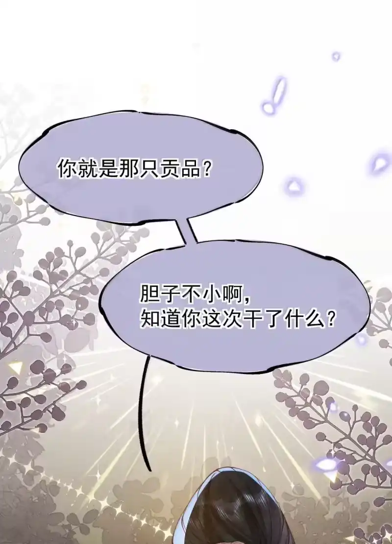 贡品的求生之路_h 026 蛇唱兔随 第43页