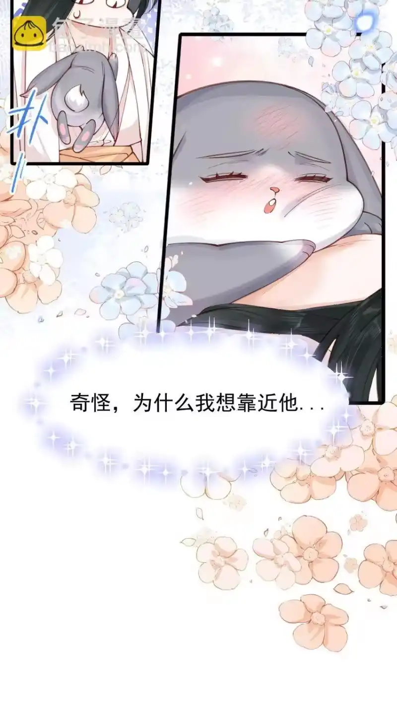 贡品的求生之路_h 02 欲擒故纵 第27页