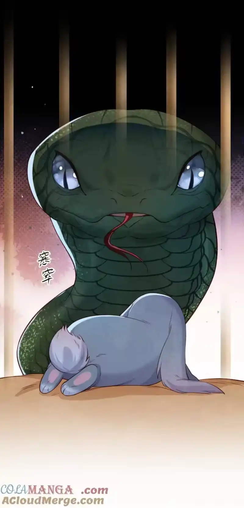 贡品的求生之路_h 033 暗藏玄机 第37页