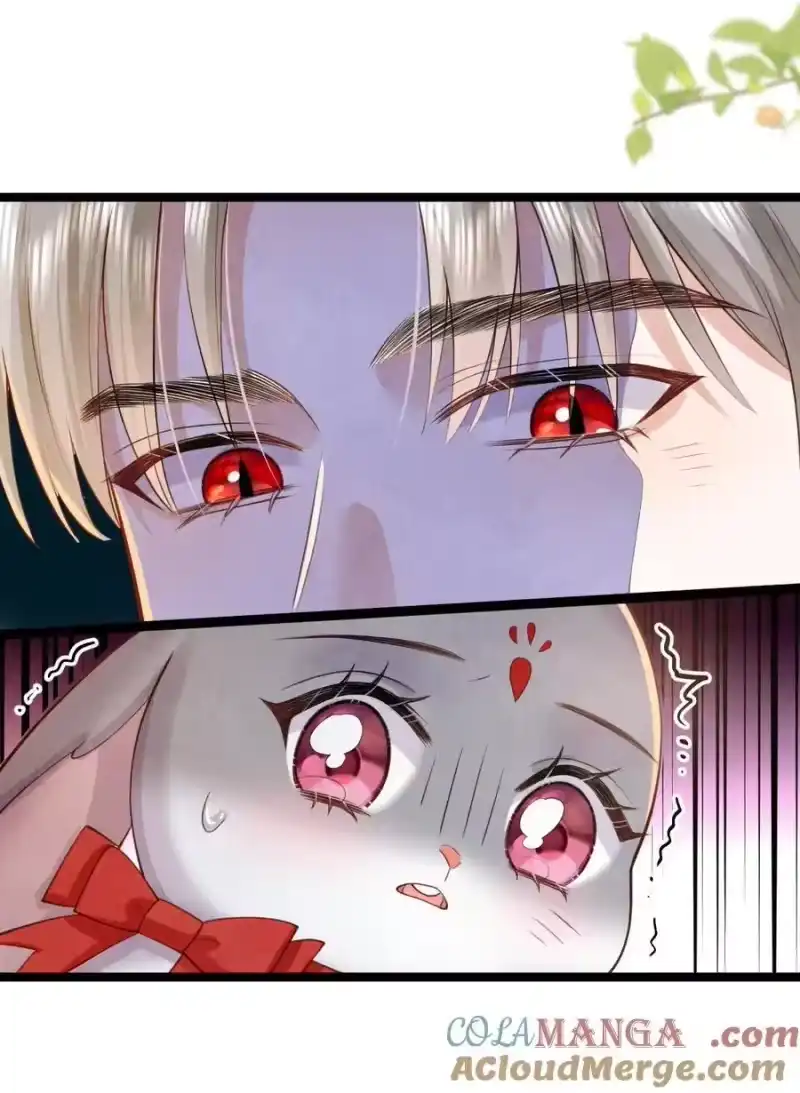 贡品的求生之路_h 033 暗藏玄机 第4页