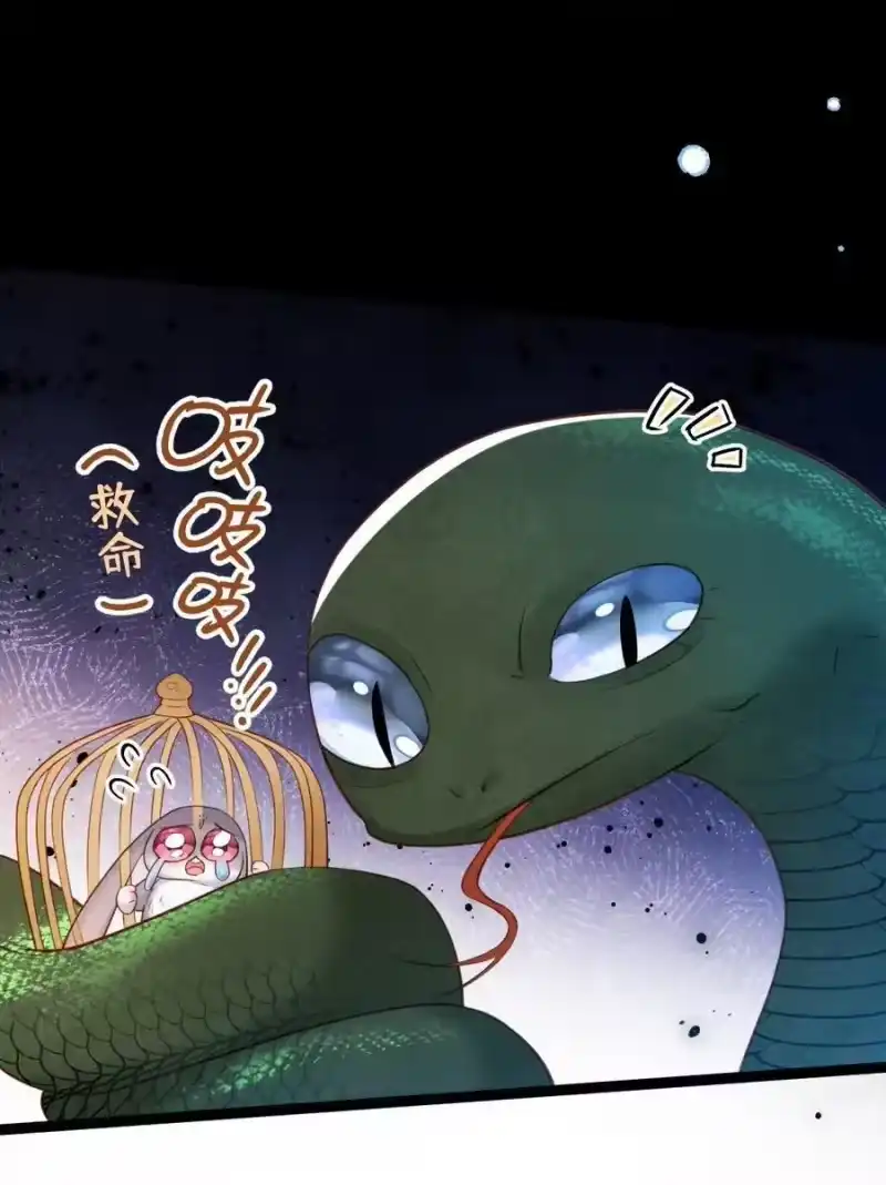 贡品的求生之路_h 033 暗藏玄机 第42页