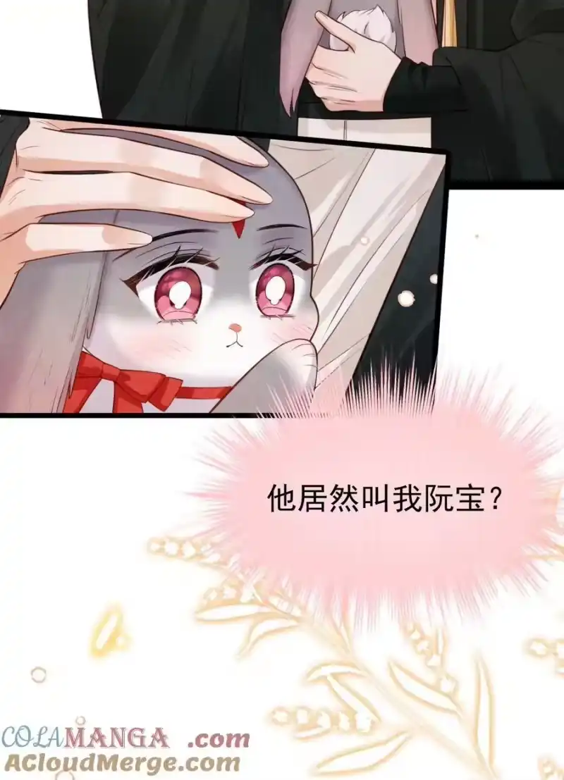 贡品的求生之路_h 033 暗藏玄机 第7页