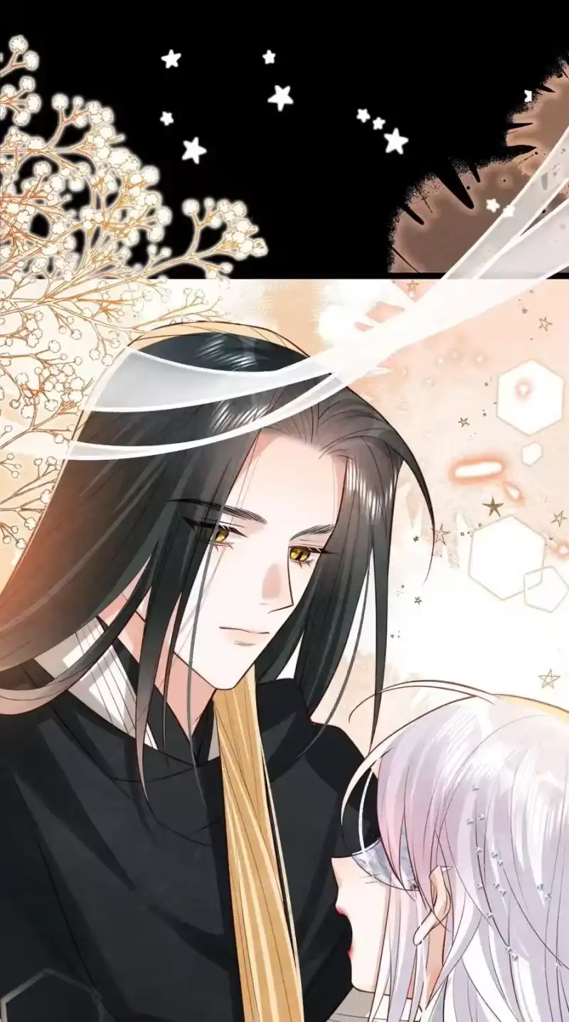 贡品的求生之路_h 036 兔落蛇网 第11页