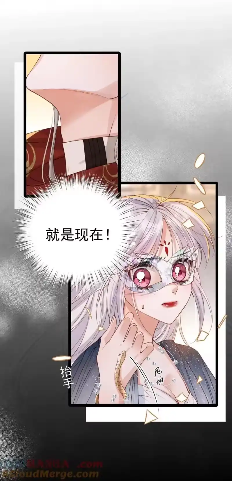 贡品的求生之路_h 036 兔落蛇网 第25页