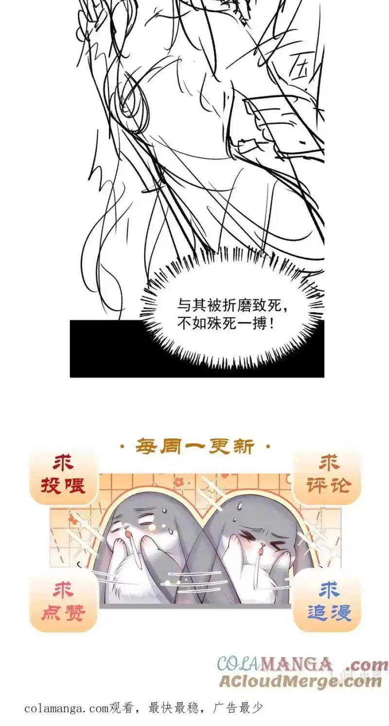 贡品的求生之路_h 036 兔落蛇网 第61页