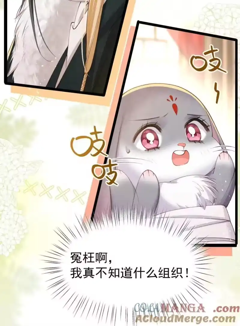 贡品的求生之路_h 038 拉钩一百年 第4页