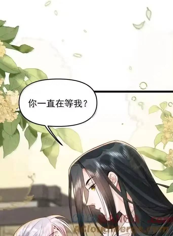 贡品的求生之路_h 043 遇袭生变 第13页