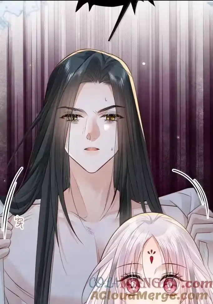 贡品的求生之路_h 043 遇袭生变 第5页