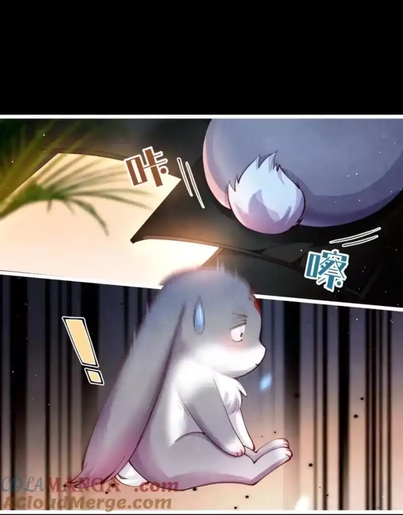 贡品的求生之路_h 07 好兔先告状！ 第13页