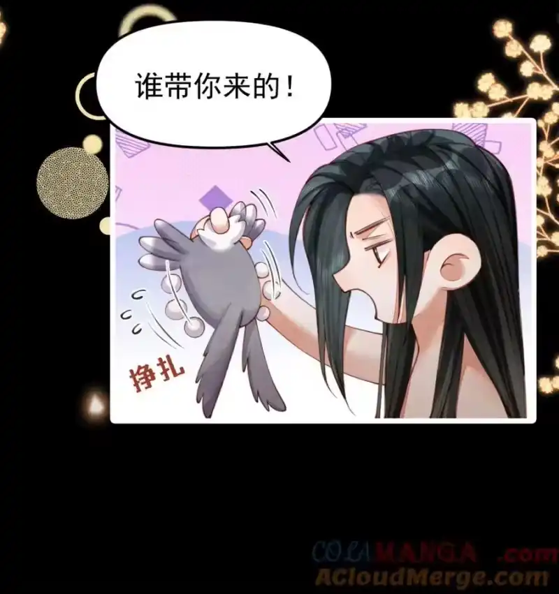 贡品的求生之路_h 07 好兔先告状！ 第19页