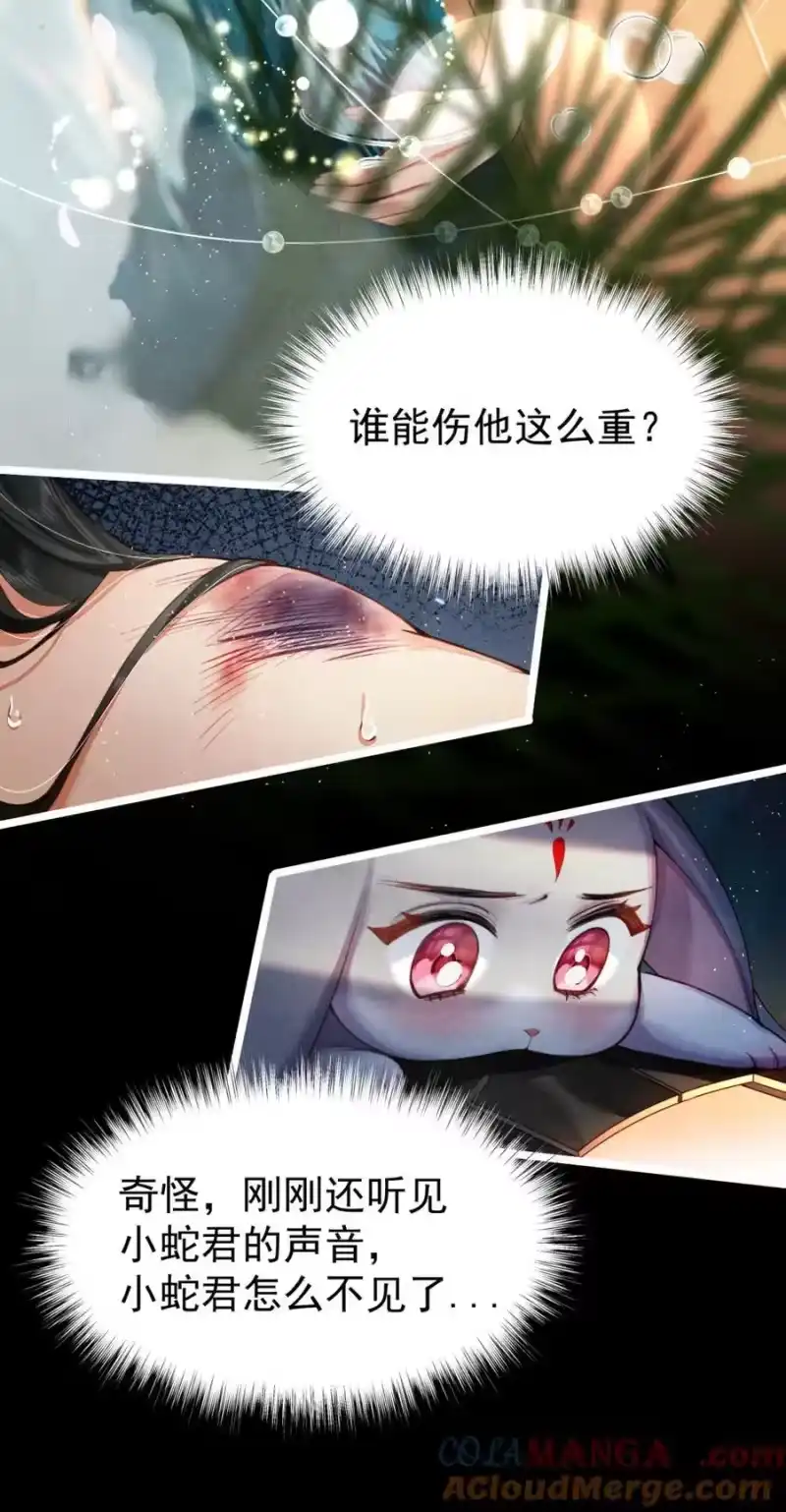 贡品的求生之路_h 07 好兔先告状！ 第9页
