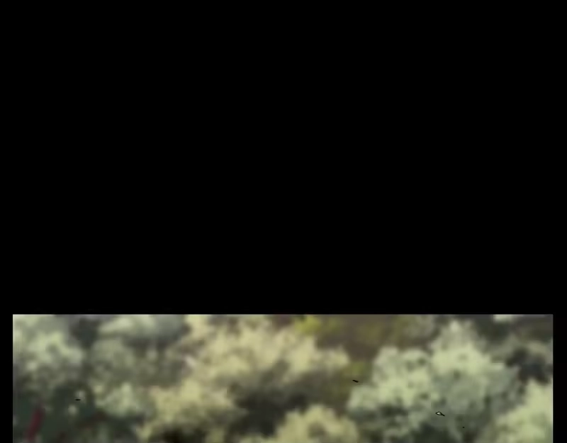 登录武林系统_h 第191话-6 试试就逝世 第98页
