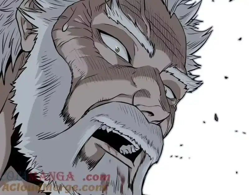 登录武林系统_h 第216话 你是真该死啊 第145页