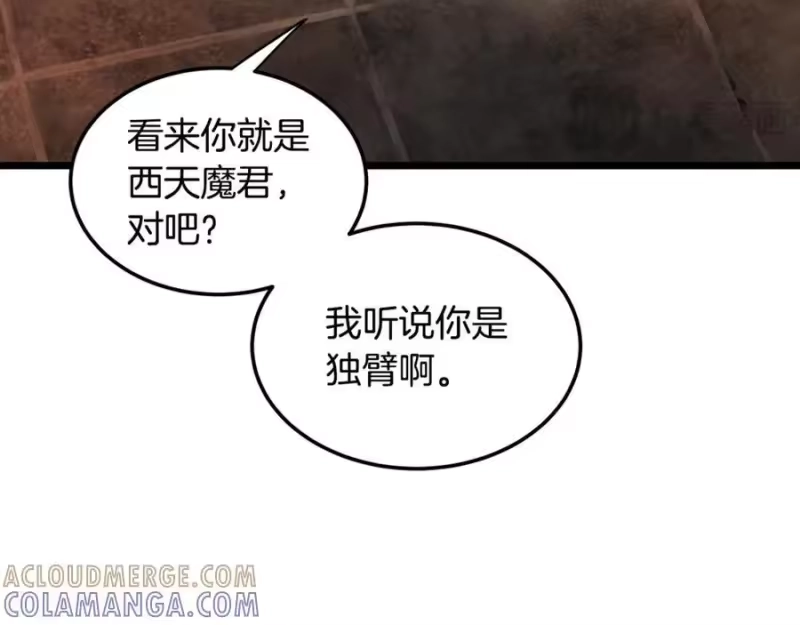 登录武林系统_h 第236话 你投降吧 第205页