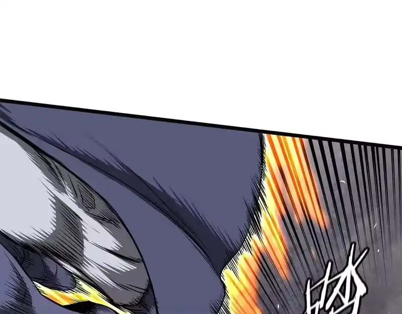 登录武林系统_h 第239话 战斗再次打响 第252页