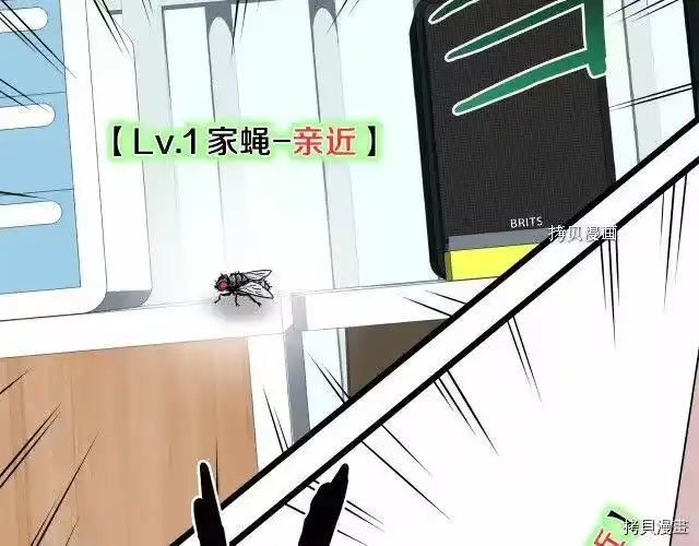 登录武林系统_h 第72话 第251页