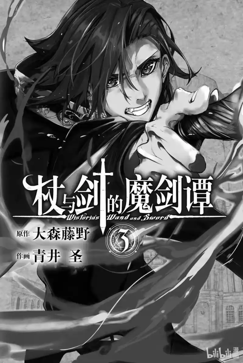 杖与剑的魔剑谭_h 9 十二冰秘法 第2页