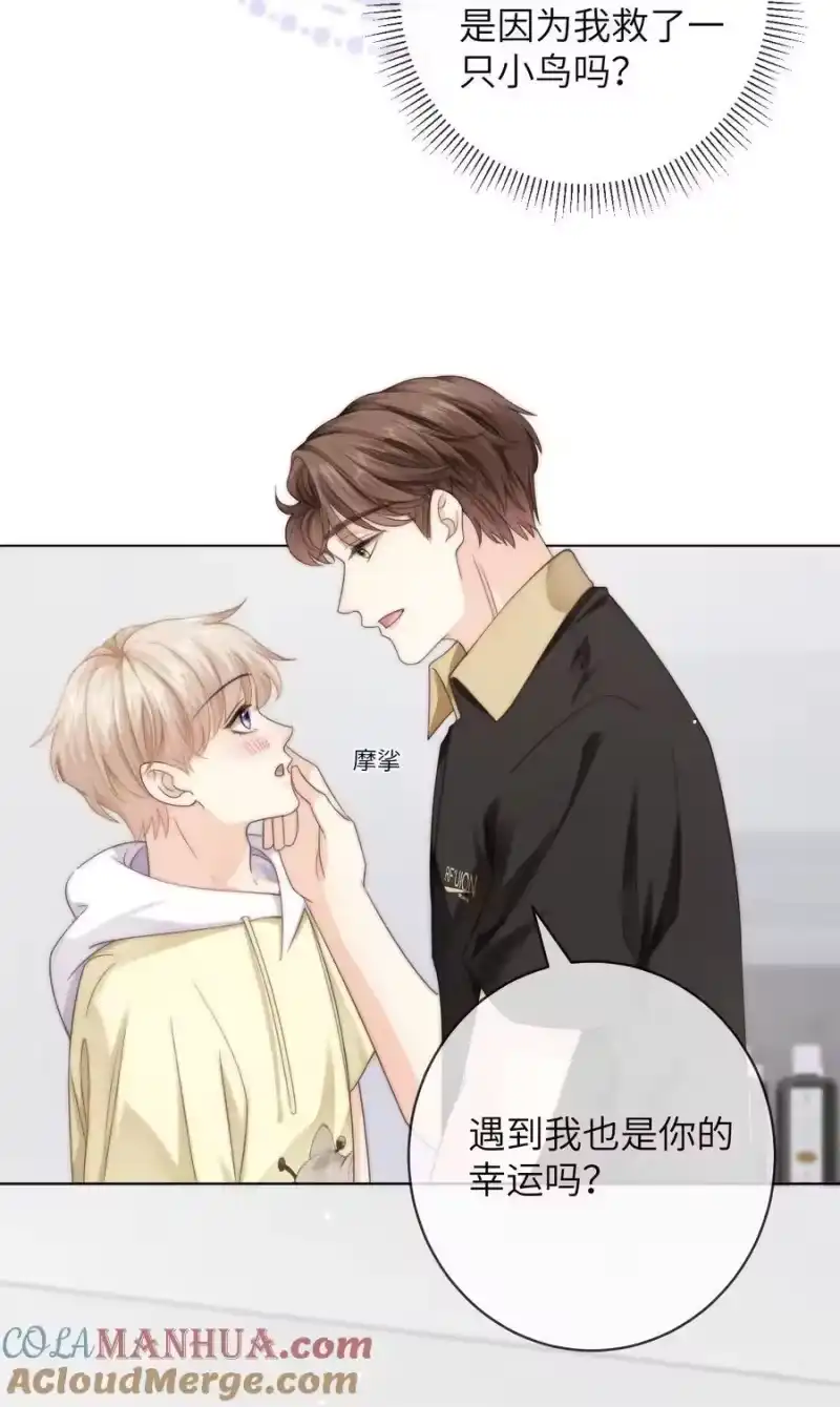 青梅屿_h 番外九 第三年（9） 第5页