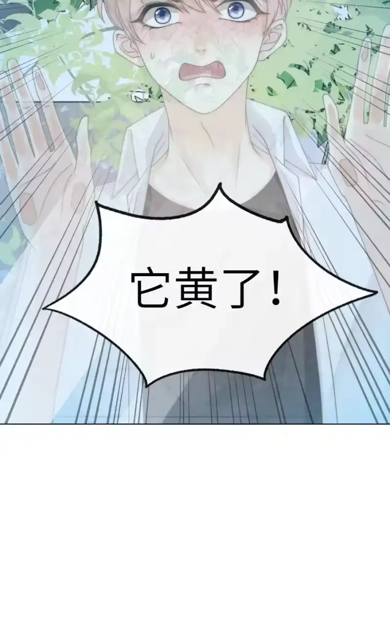 青梅屿_h 004 它黄了 第51页