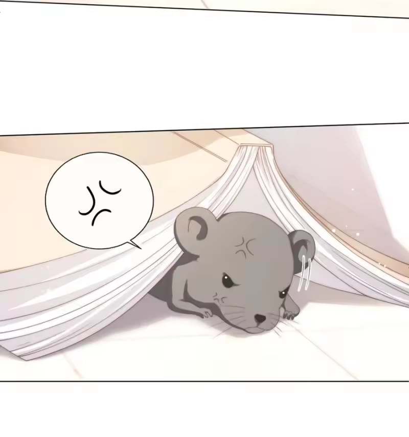 青梅屿_h 007 有老鼠！ 第39页