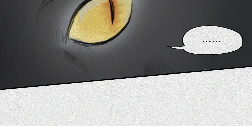 人不知 第19话-猫妖篇：猫妖现世 第30页
