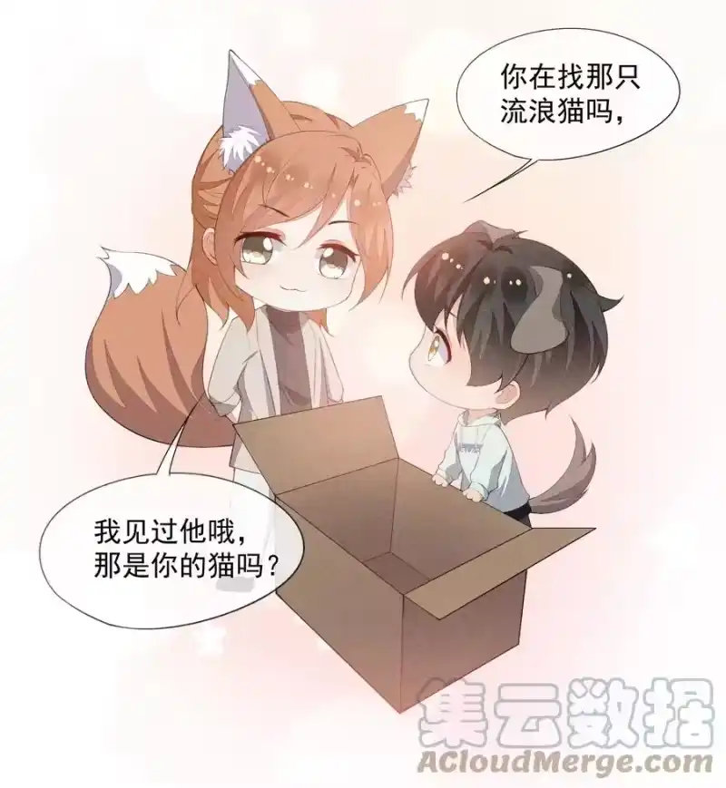 竞剑之锋_h 039 为谁难过 第46页