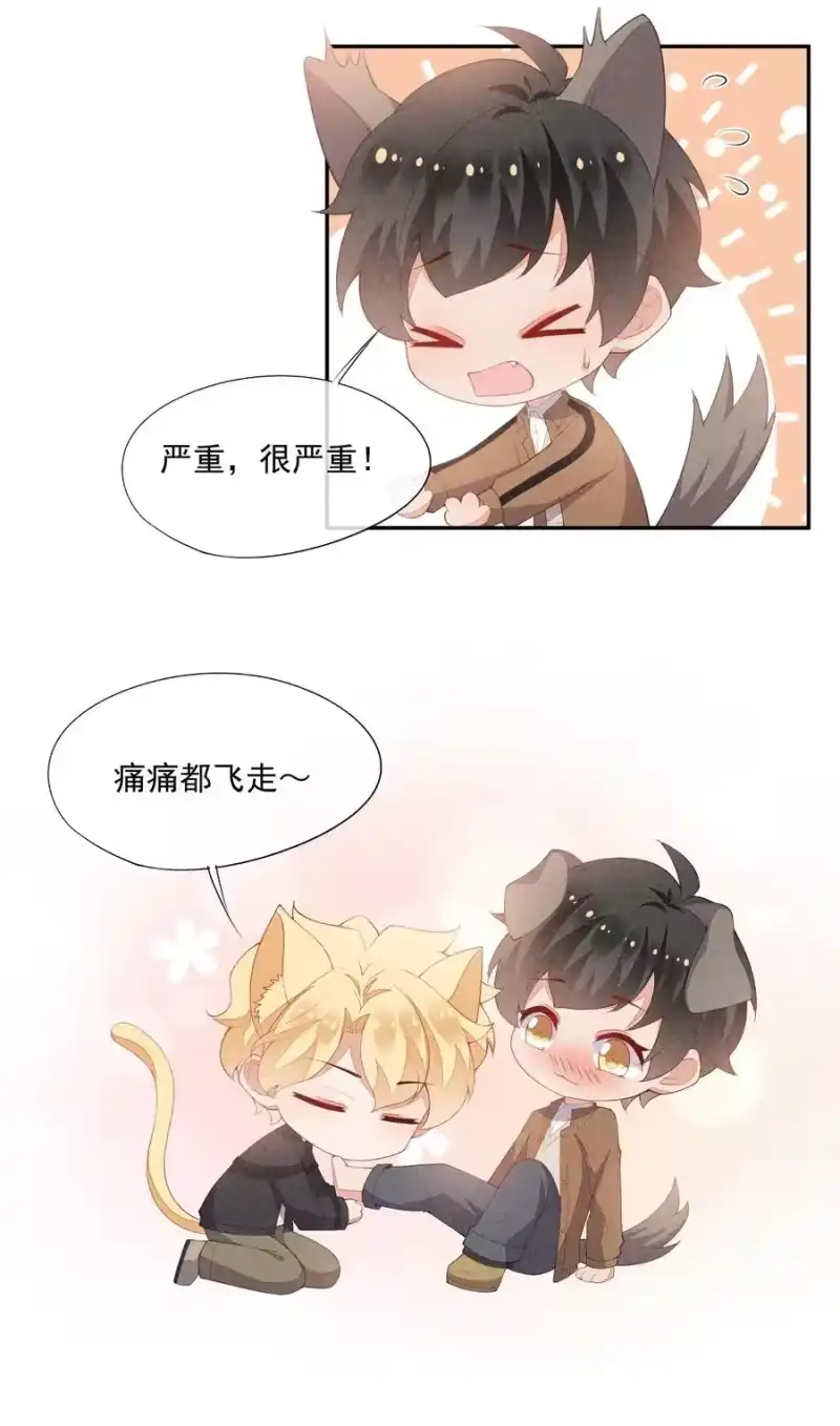 竞剑之锋_h 046 不曾温柔过 第54页
