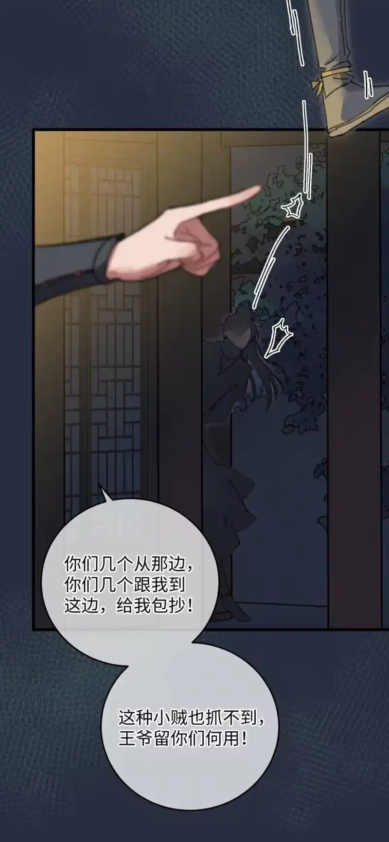 嫁入王府的我，只想搞钱_h 001 小野猫的夜袭 第5页