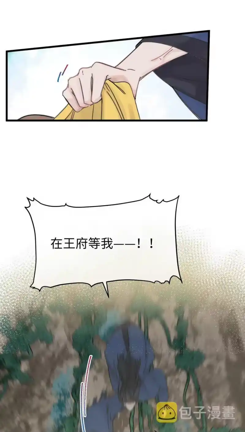 嫁入王府的我，只想搞钱_h 032 答应我，回王府等我 第44页