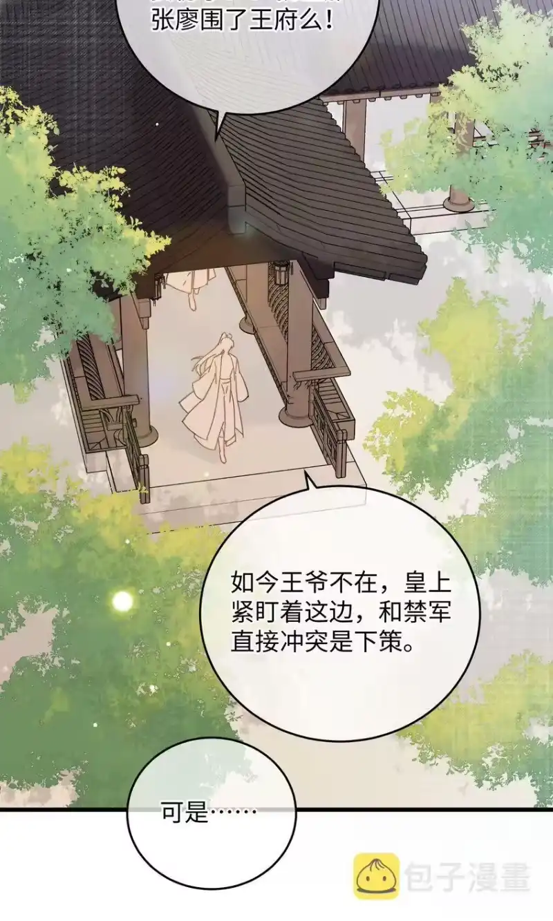 嫁入王府的我，只想搞钱_h 034 王爷被谁救了… 第48页