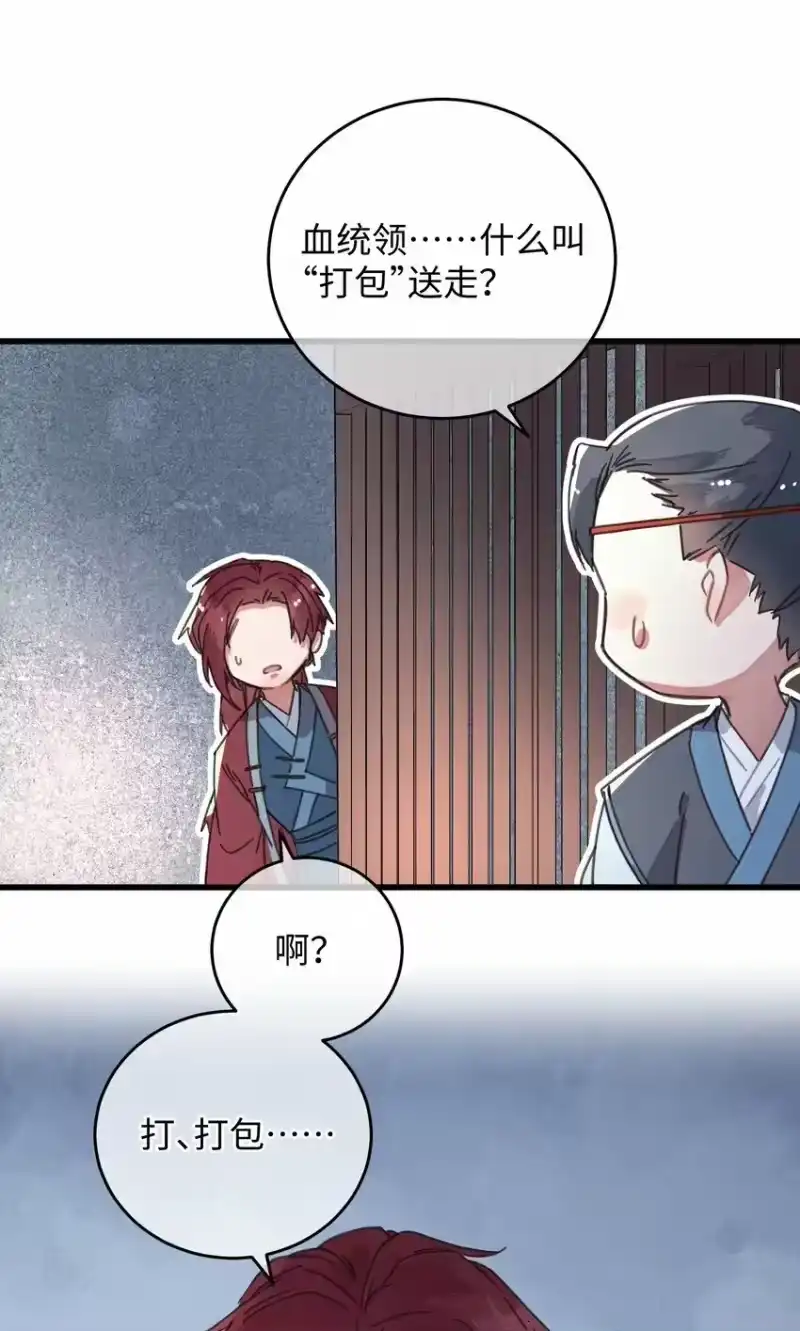 嫁入王府的我，只想搞钱_h 036 打包送走 第48页