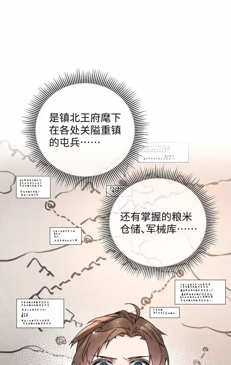 嫁入王府的我，只想搞钱_h 037 敛财王妃上线 第46页