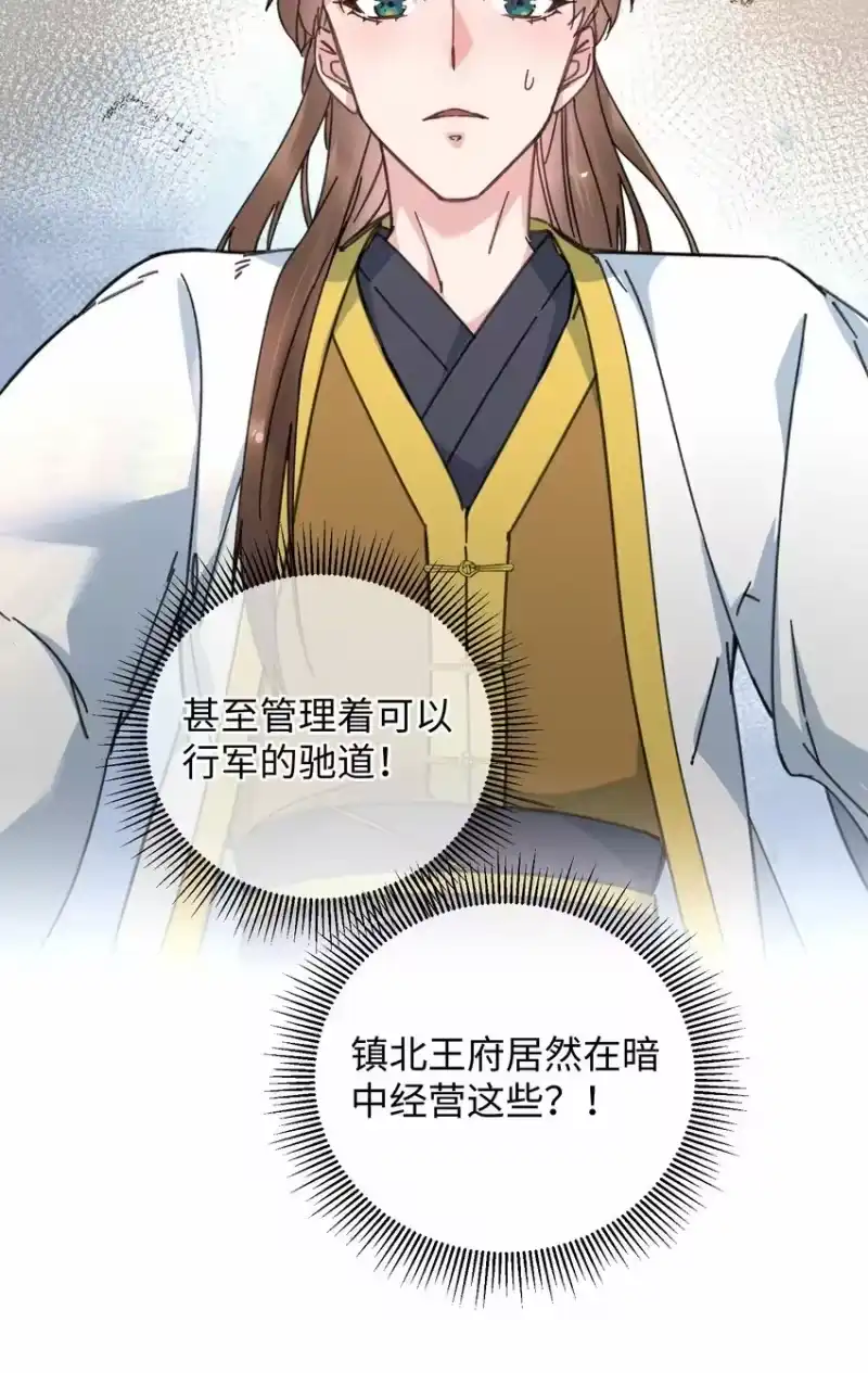嫁入王府的我，只想搞钱_h 037 敛财王妃上线 第47页