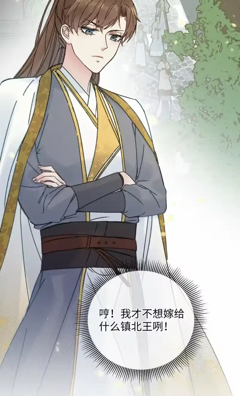 嫁入王府的我，只想搞钱_h 003 镇北王是谁啊，很拽么 第18页