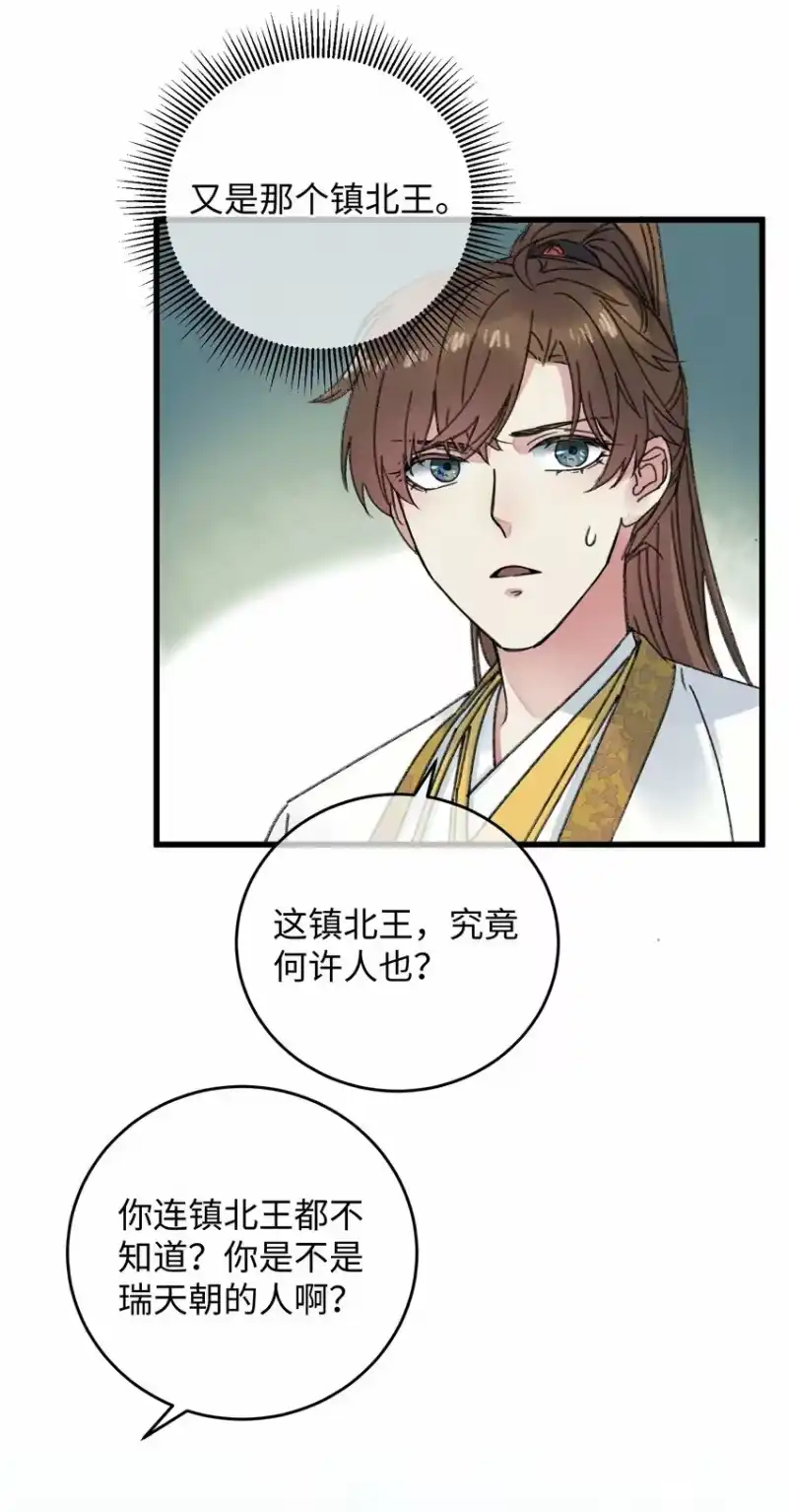 嫁入王府的我，只想搞钱_h 003 镇北王是谁啊，很拽么 第35页
