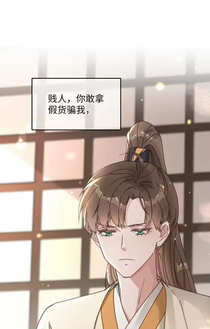 嫁入王府的我，只想搞钱_h 044 血债血偿 第41页
