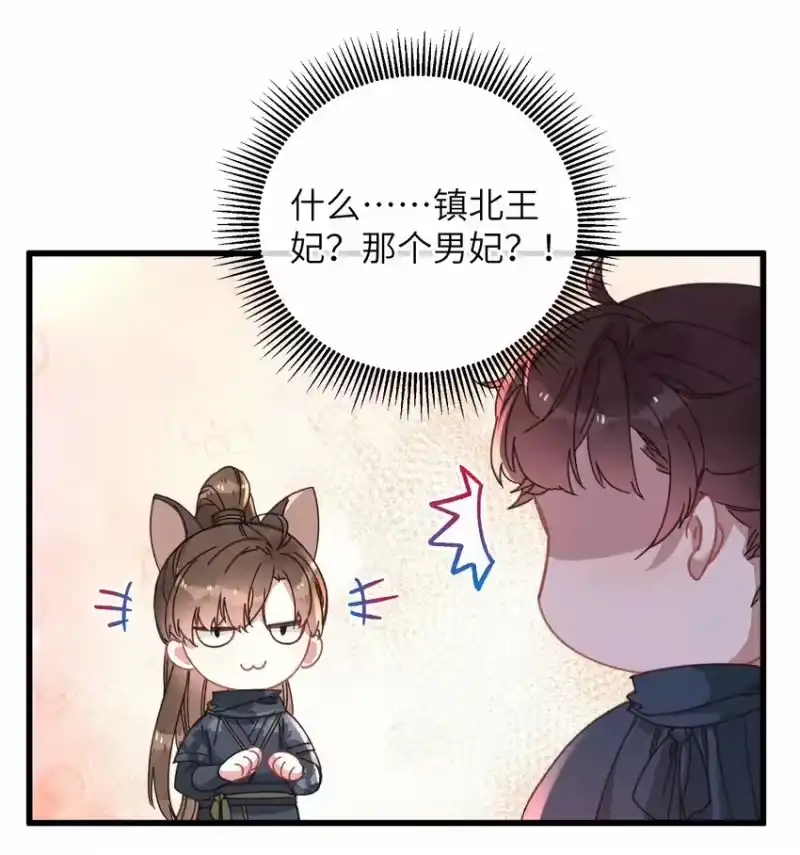嫁入王府的我，只想搞钱_h 045 你对王妃有什么误解？ 第52页