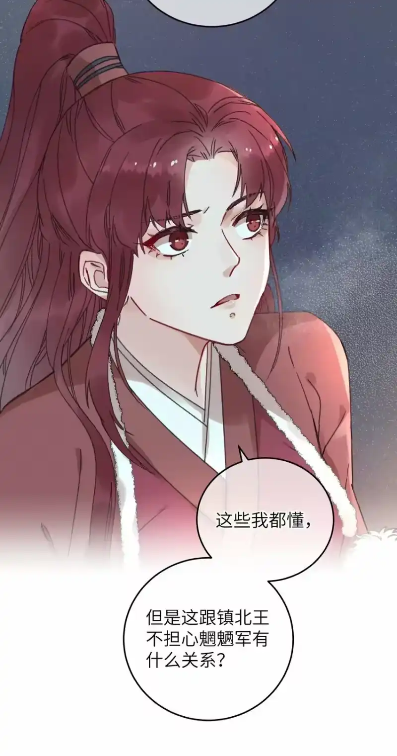 嫁入王府的我，只想搞钱_h 054 巫蛊先生 第29页