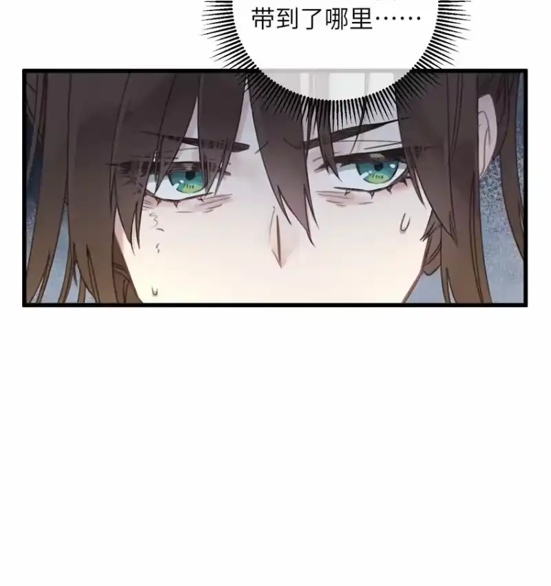 嫁入王府的我，只想搞钱_h 067 危机 第42页