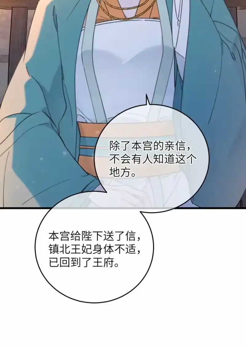 嫁入王府的我，只想搞钱_h 067 危机 第45页