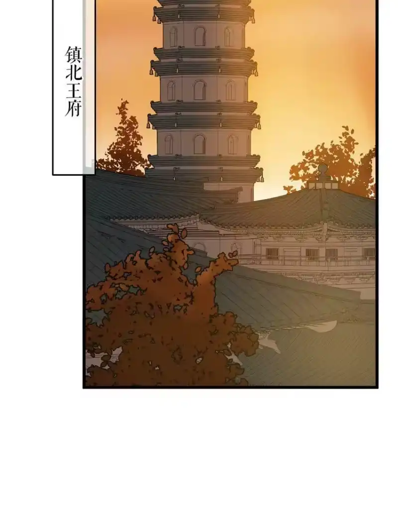 嫁入王府的我，只想搞钱_h 009 挑事 第14页