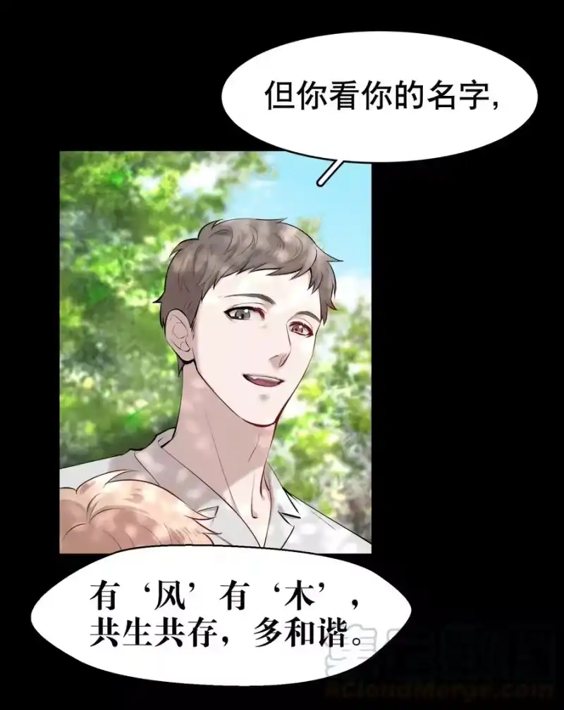 飞鸥不下_h 第9章 有风有木 第10页