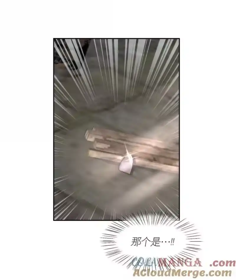 飞鸥不下_h 第90章 历劫（二） 第31页
