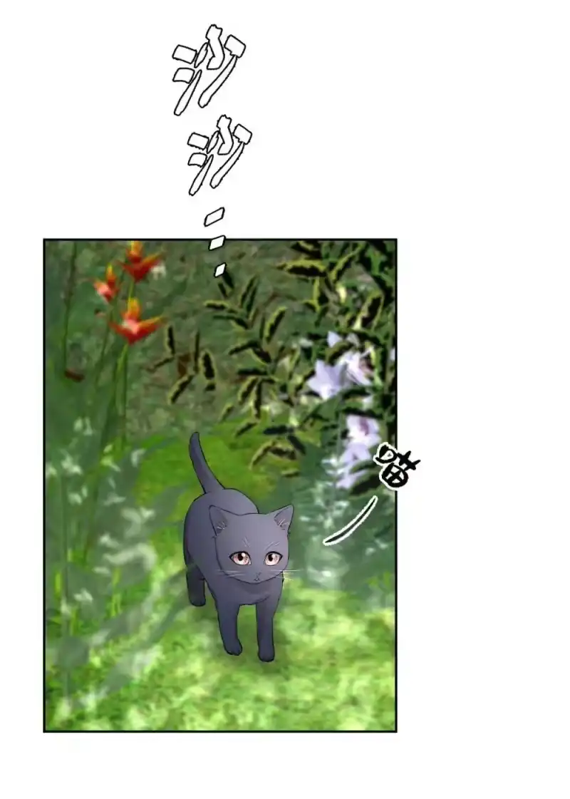 飞鸥不下_h 第96章 小尾巴 第25页