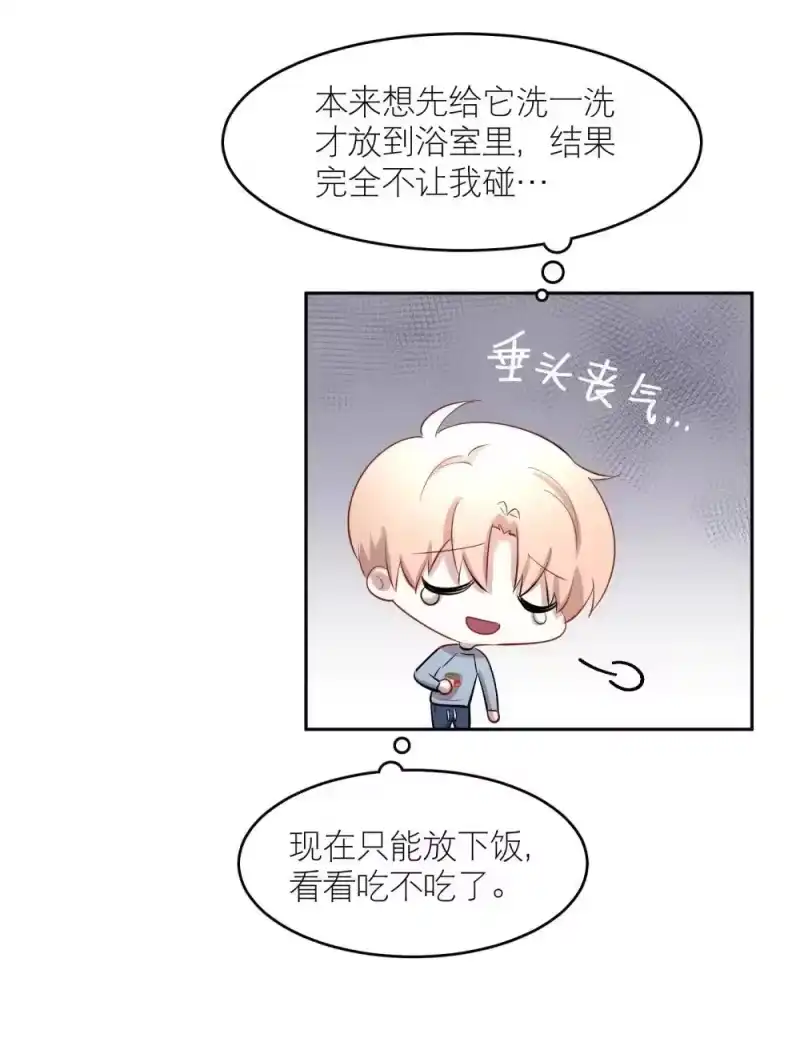 飞鸥不下_h 第97章 “故猫” 第11页