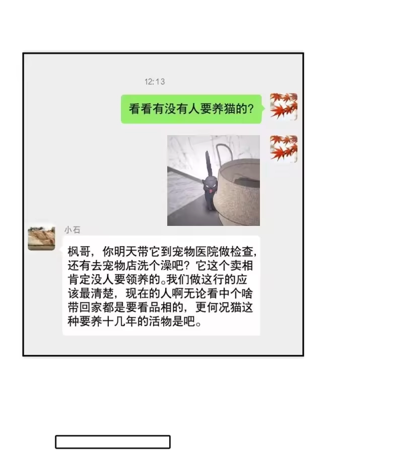 飞鸥不下_h 第97章 “故猫” 第12页