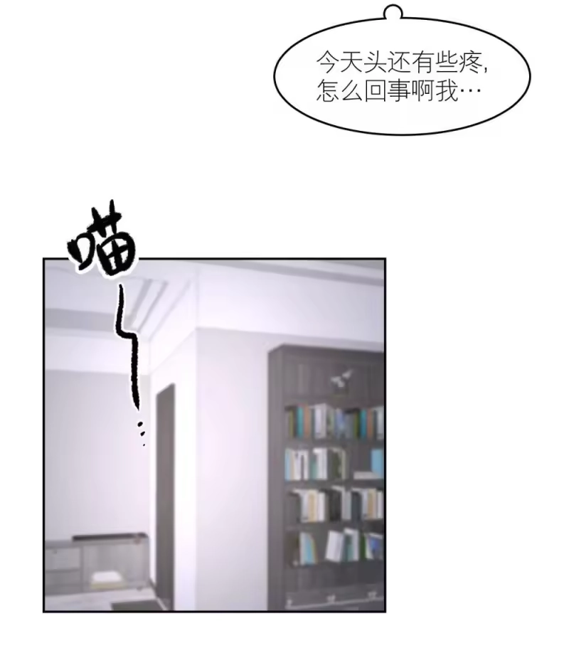 飞鸥不下_h 第97章 “故猫” 第19页