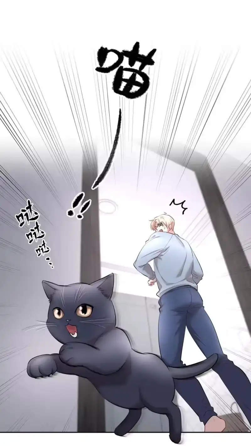 飞鸥不下_h 第97章 “故猫” 第21页