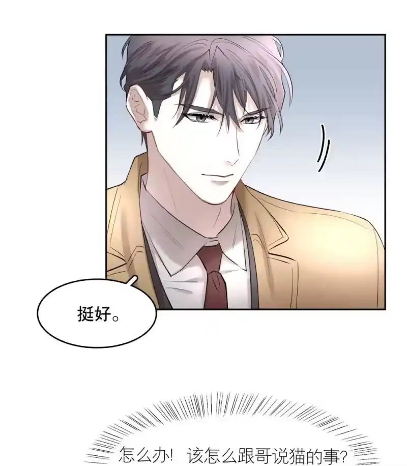 飞鸥不下_h 第97章 “故猫” 第28页