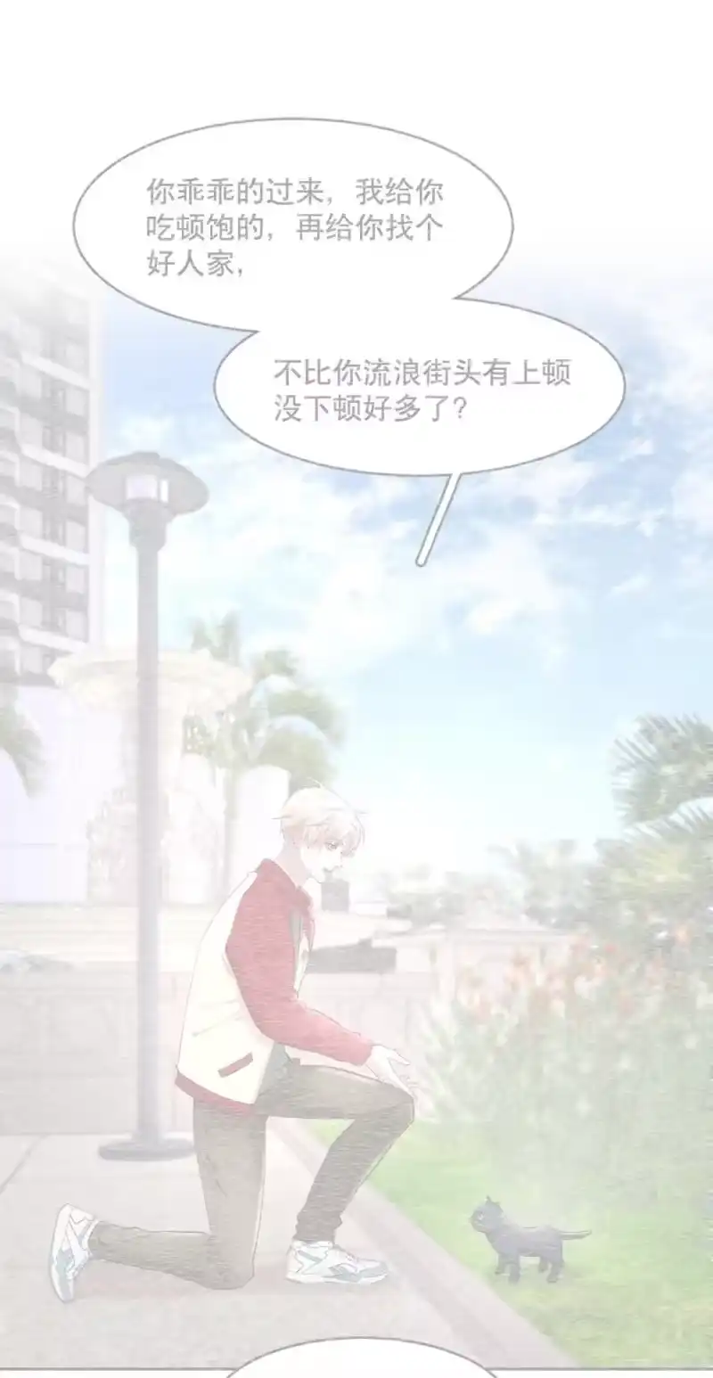 飞鸥不下_h 第97章 “故猫” 第3页